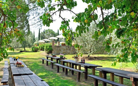 Montelopio: Natur, Naturreservat, Træ, Naturlige Landskab, Botanik, Walkway, Græs, Have, Plante, Forår