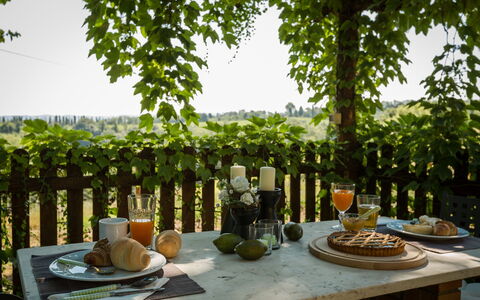 Montelopio: Bord, Træ, Plante, Brunch, Indretning, Stueplante, Morgenmad, Møbel, Sengetøj, Fingermad