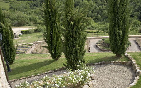 La Maccinaia 14: Træ, Græs, Botanik, Have, Hus, Arkitektur, Landskab, Landscaping, Plante, Bygning