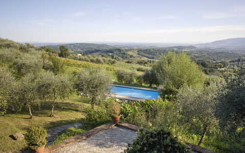 La Loggia 13: Ejendom, Vegetationen, Naturreservat, Ødemark, Himmel, Plantesamfund, Træ, Hus, Ejendom, Botanik