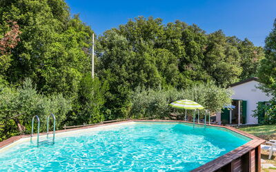 Podere Gli Olivi - Rosignano Marittimo, Toscana, Italien