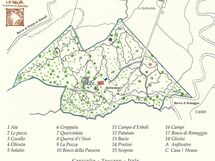 Giardino Del Belvedere