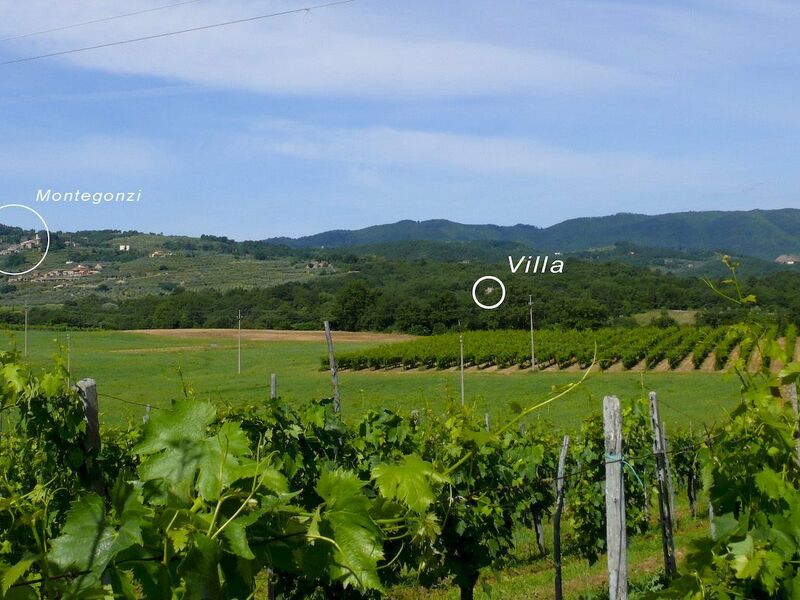 Giardino Del Belvedere