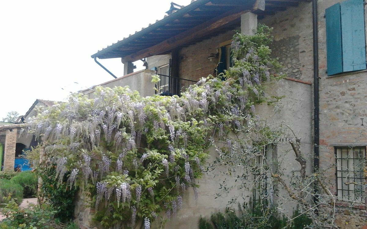 Feriebolig:&nbsp;Appartamento Piscina