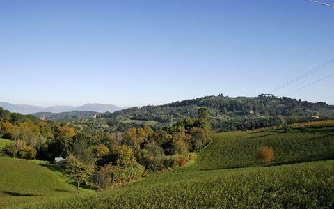 La Selva: Naturlige Landskab, Bakke, Natur, Bjergrige Landskabsformer, Himmel, Græs-, Vegetationen, Mark, Highland, Naturligt Miljø