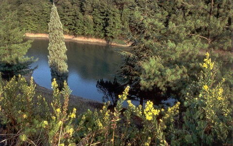 La Selva: Vegetationen, Natur, Naturreservat, Biome, Naturlige Landskab, Ødemark, Træ, Plantesamfund, Vand, Plante