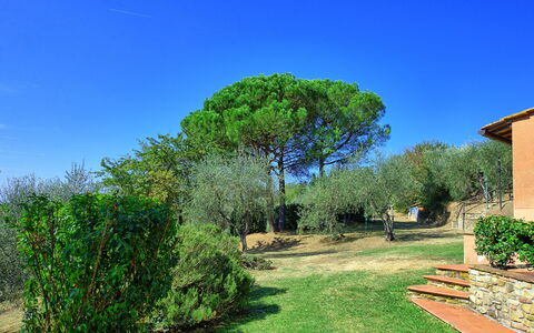 La Selva: Natur, Grøn, Naturlige Landskab, Træ, Ejendom, Vegetationen, Himmel, Græs, Have, Ejendom