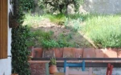 Pettirosso: little house 