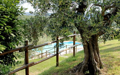 Città della Pieve 301