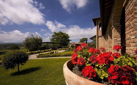 Sanguineto: Blomst, Sky, Plante, Himmel, Ejendom, Bygning, Vindue, Botanik, Blad, Vegetationen