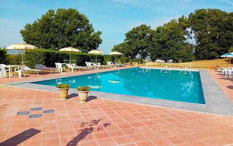 Fattoria le Chianacce: Vand, Himmel, Plante, Bygning, Svømmepøl, Azure, Træ, Udendørs Møbler, Sky, Stol