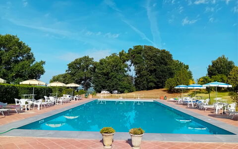 Fattoria le Chianacce: Vand, Himmel, Plante, Sky, Svømmepøl, Bygning, Azure, Træ, Udendørs Møbler, Skygge