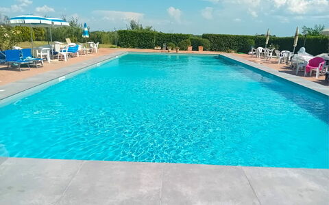 Fattoria le Chianacce: Vand, Ejendom, Sky, Svømmepøl, Himmel, Blå, Azure, Plante, Rektangel, Træ