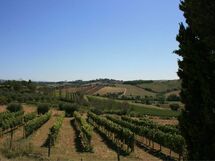 Fattoria le Chianacce