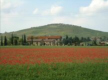 Feriebolig:&nbsp;Cinghialino