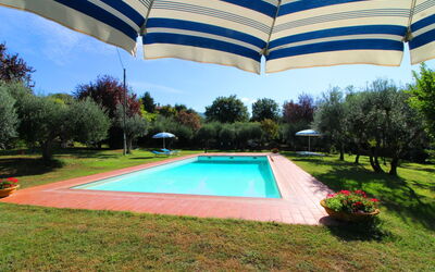 Ca di Maestro - Cortona, Toscana, Italien - La Cattedra