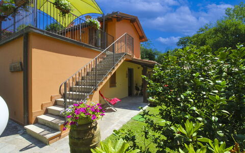 Le Balze: Land Lot, Hjem, Have, Backyard, Skygge, Gård, Landscaping, Altan, Estate, Eco Hotel