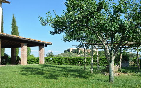 Nonno Tobia: Himmel, Plante, Grøn, Naturlige Landskab, Træ, Land Lot, Græs, Vegetationen, Skygge, Græs-