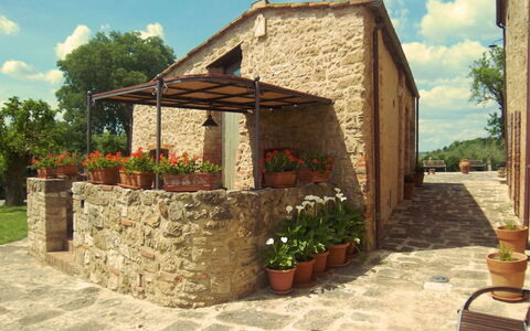 Pieve di Sant Ippolito: Plante, Blomst, Himmel, Sky, Ejendom, Bygning, Blomsterkrukke, Træ, Skygge, Træ