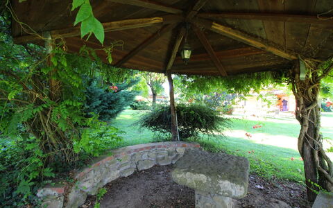 Pagliazzone: Plante, Botanik, Skygge, Vand, Vegetationen, Terrestrisk Plant, Arecales, Vedplante, Naturlige Landskab, Græs