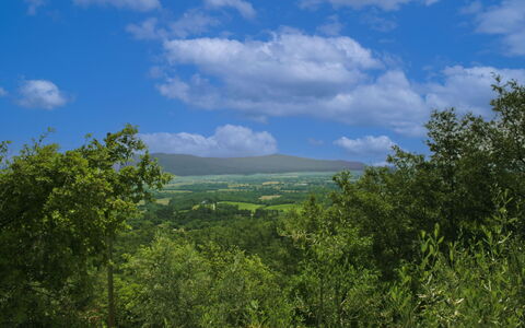 La Rogaia: Paraply, Møbel, Udendørs Møbler, Skygge, Stol, Udendørs Bord, Blomsterkrukke, Svømmepøl, Design, Stueplante