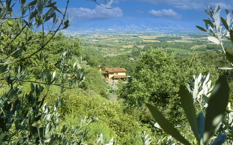 La Rogaia: Paraply, Møbel, Udendørs Møbler, Skygge, Stol, Udendørs Bord, Blomsterkrukke, Svømmepøl, Design, Stueplante