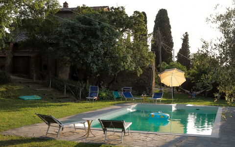 Olivo: Vand, Plante, Himmel, Grøn, Svømmepøl, Træ, Skygge, Udendørs Møbler, Græs, Bygning