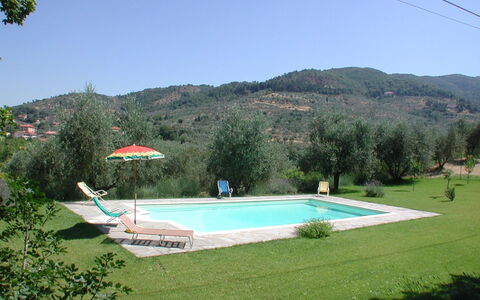 Olivo: Himmel, Vand, Ejendom, Plante, Svømmepøl, Botanik, Træ, Bygning, Land Lot, Rektangel