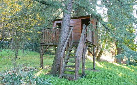 Olivo: Plante, Træ, Træ, Naturlige Landskab, Bagagerum, Biome, Græs, Bygning, Stige, Landdistrikt