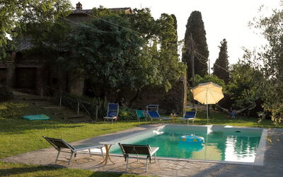 Olivo - Arezzo, Toscana, Italien