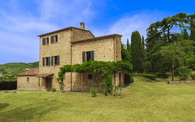 Olivo - Arezzo, Toscana, Italien