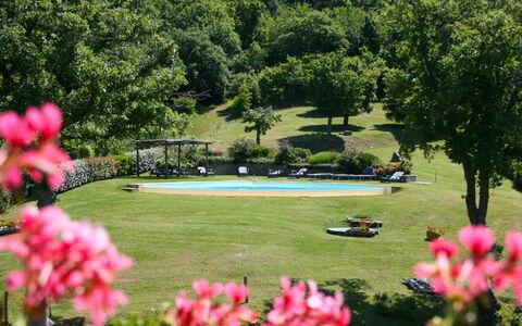 Torre di Vignale: Blomst, Plante, Botanik, Vand, Træ, Natur, Kronblad, Naturlige Landskab, Vegetationen, Græs