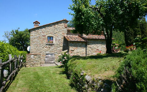 Torre di Vignale: Plante, Himmel, Bygning, Træ, Naturlige Landskab, Vindue, Land Lot, Hus, Sommerhus, Fritid
