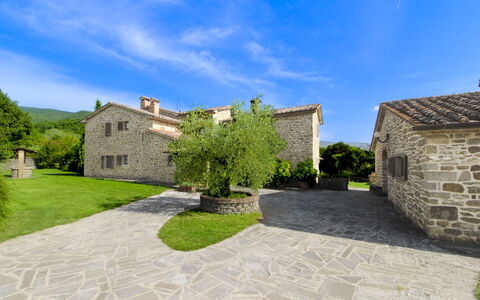 Casale Lorenzo: Træ, Almindeligt, Land Lot, Lawn, Have, Estate, Eng, Landscaping, Gård, Stuehus