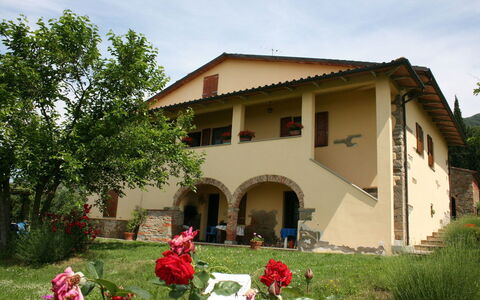 Podere La Vigna
