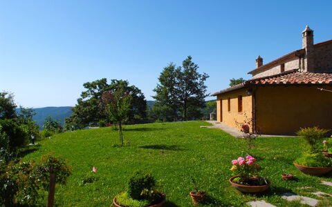 Casa la Primula: Himmel, Plante, Ejendom, Vindue, Bygning, Blomsterkrukke, Træ, Blomst, Naturlige Landskab, Land Lot