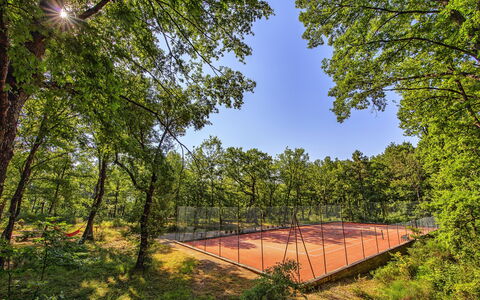 Podere Sant'angelo: Natur, Træ, Naturlige Landskab, Naturligt Miljø, Himmel, Naturreservat, Skov, Woodland, Biome, Blad