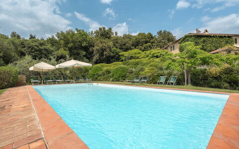 Centolivi 14: Busk, Svømmepøl, Estate, Hacienda, Have, Eco Hotel, Stuehus, Villa, Landscaping, Udvej