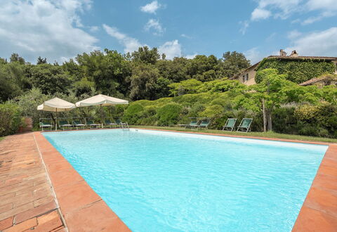 Centolivi 14: Busk, Svømmepøl, Estate, Hacienda, Have, Eco Hotel, Stuehus, Villa, Landscaping, Udvej