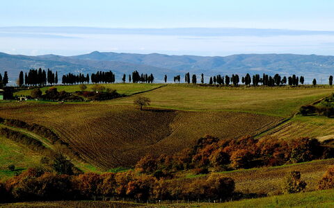 Dante: Græs-, Naturlige Landskab, Bakke, Highland, Grøn, Bjergrige Landskabsformer, Pasture, Naturligt Miljø, Himmel, Bjerg
