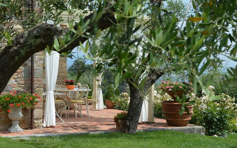 Nel Guasto: Træ, Ejendom, Have, Plante, Botanik, Backyard, Gård, Vedplante, Blomst, Landscaping