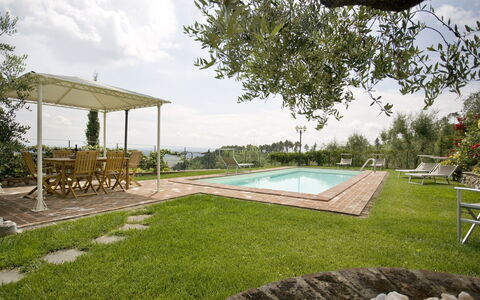 Nel Guasto: Ejendom, Backyard, Græs, Hus, Svømmepøl, Ejendom, Hjem, Lawn, Gård, Bygning