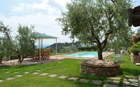 Nel Guasto: Ejendom, Gård, Græs, Backyard, Træ, Lawn, Ejendom, Hus, Landscaping, Land Lot