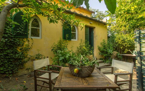 Villa Pedone: Gul, Busk, Dør, Have, Hjem, Forår, Blomsterkrukke, Sommerhus, Backyard, Skygge