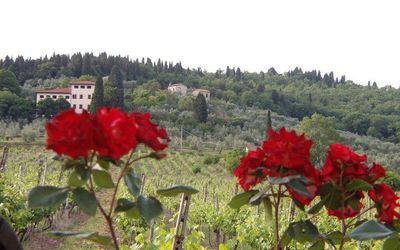 Villa Luigi - Rignano Sull'Arno, Toscana, Italien