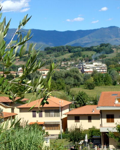Mugnai Home