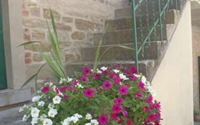 Villa Polvano Polvano 2 - the entrance and the flowers
