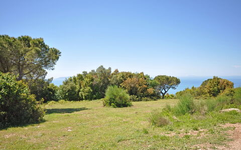 Torre Rivolta