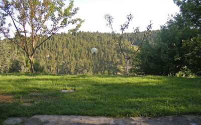 Cantinetta