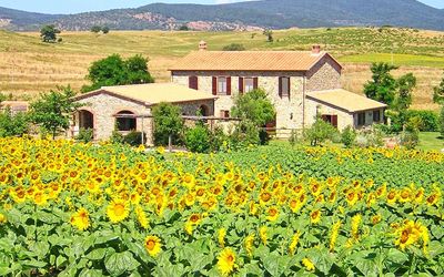 Casale Sugherino - Scansano, Toscana, Italien